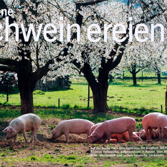 Merian Magazin Hessen, Reportage Kulinarik